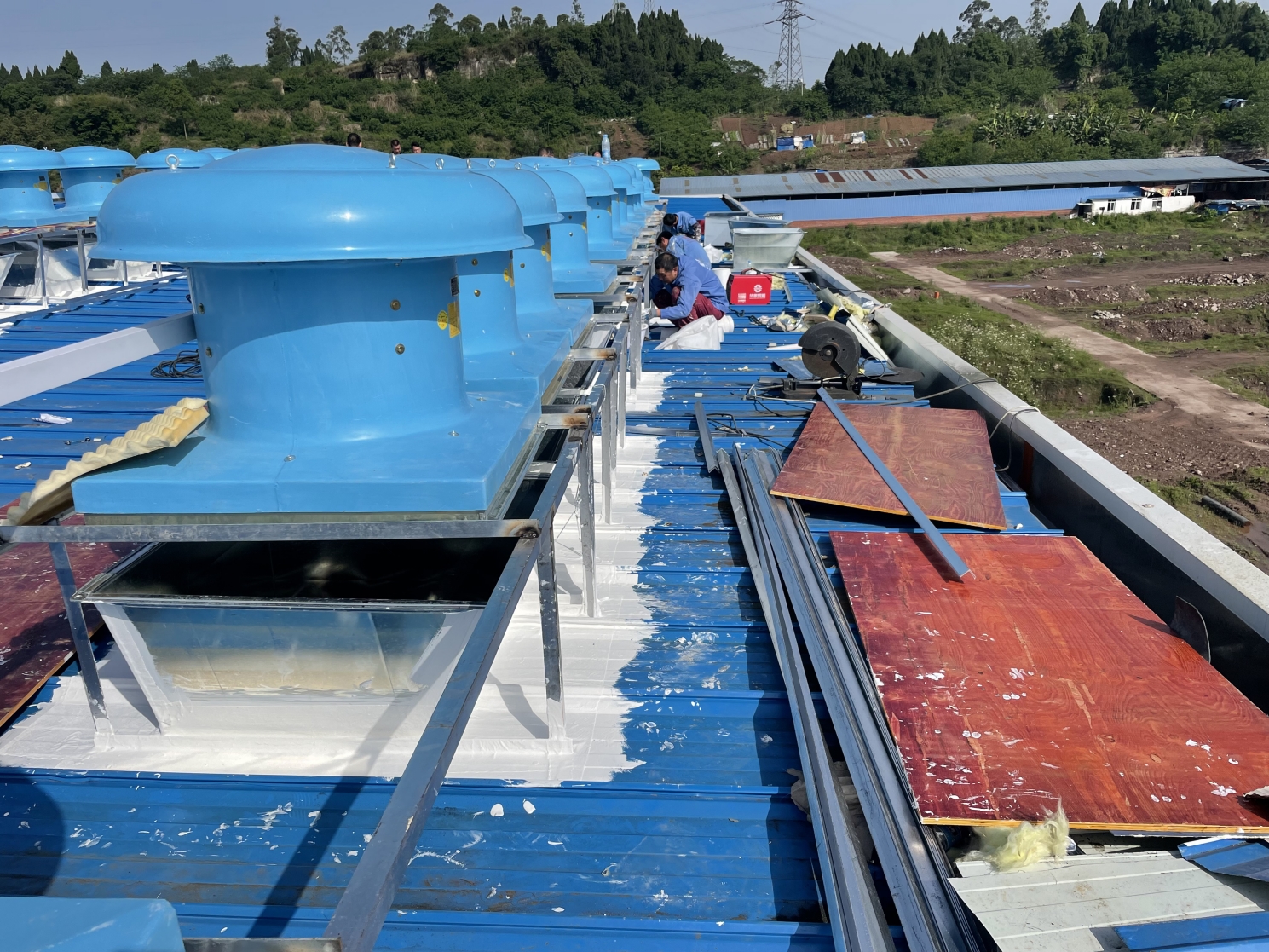 1654311192568005.jpg 1654311192568005.jpg